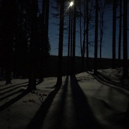 Dziewiecsil-Domek W Gorach Duszniki Zdrój Exteriér fotografie