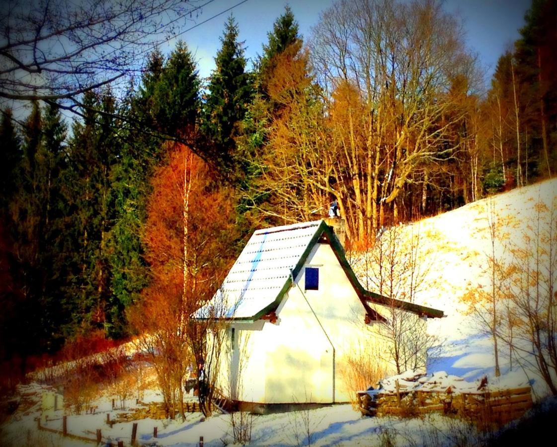 Dziewiecsil-Domek W Gorach Duszniki Zdrój Exteriér fotografie